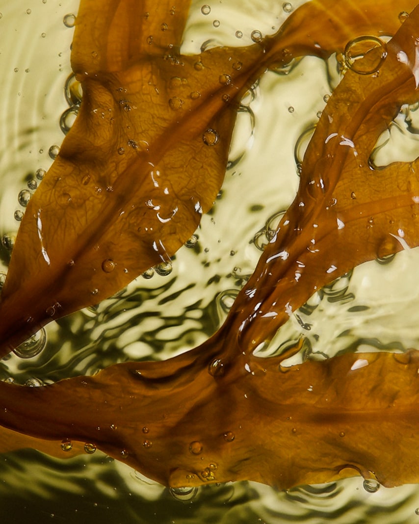 The NEW Clarity Algae